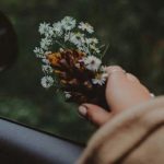 sutlukurabiye kullanıcısının profil fotoğrafı