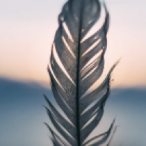 Gizemligizem kullanıcısının profil fotoğrafı