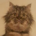 yamithegolden kullanıcısının profil fotoğrafı