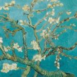 Bir Hikaye kullanıcısının profil fotoğrafı